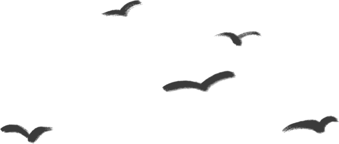 15-37-420304-2068390026 图片